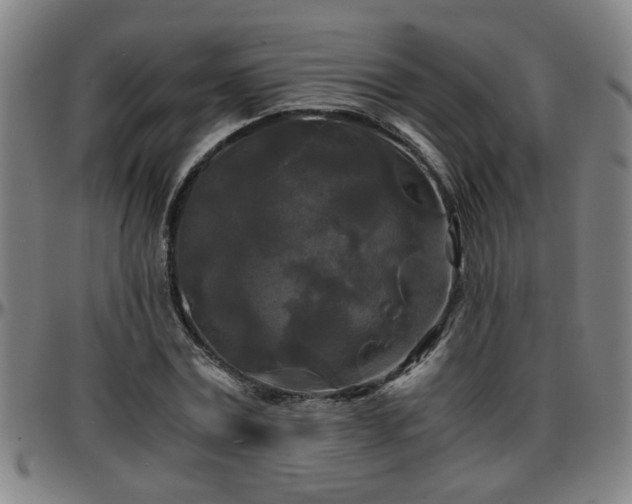 X0000096380779200801311258
