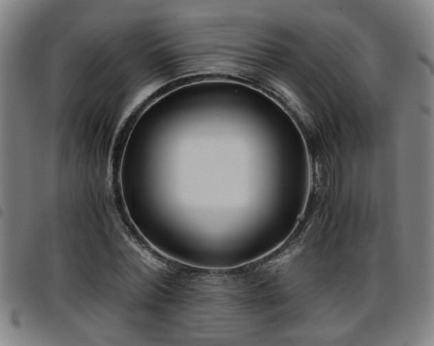 X0000096380780200801311258