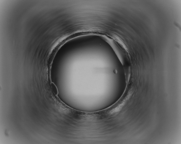 X0000096380781200801311258