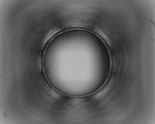 X0000096380782200801311258