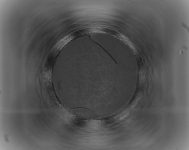 X0000096380785200801311258