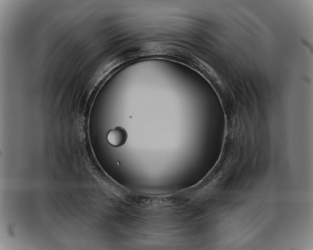 X0000096380786200801311258