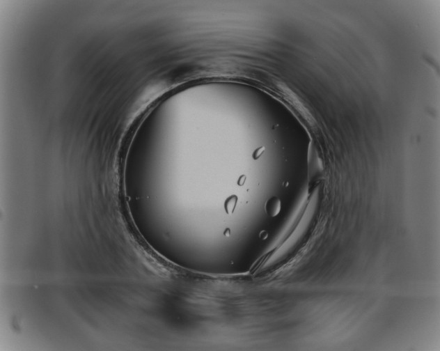 X0000096380787200801311258