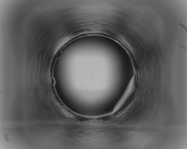 X0000096380789200801311258