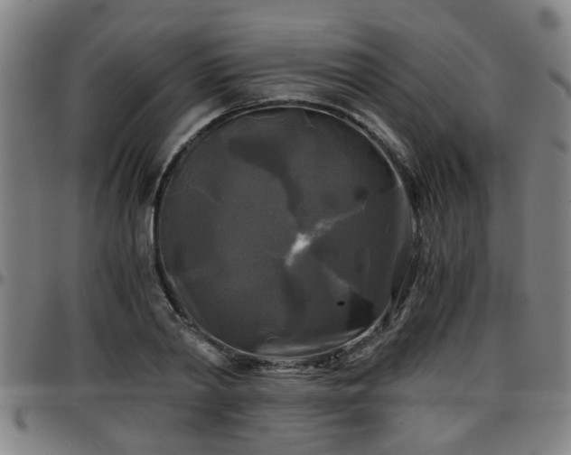 X0000096380790200801311258