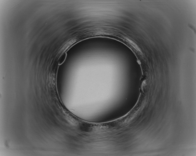 X0000096380793200801311258