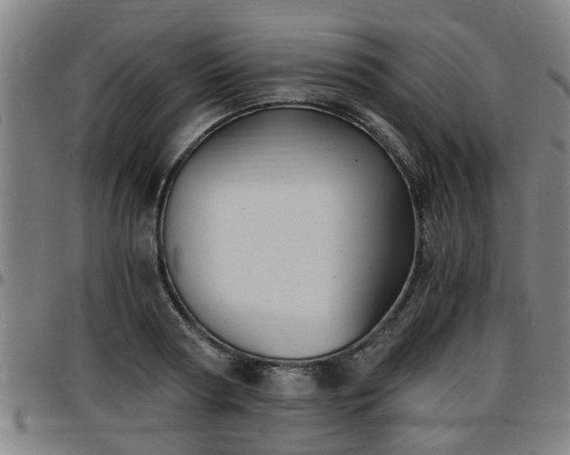 X0000096380794200801311258