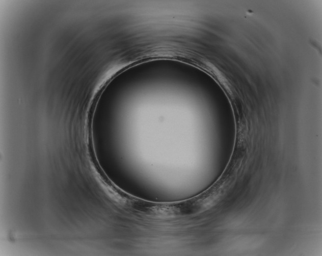 X0000096380795200801311258