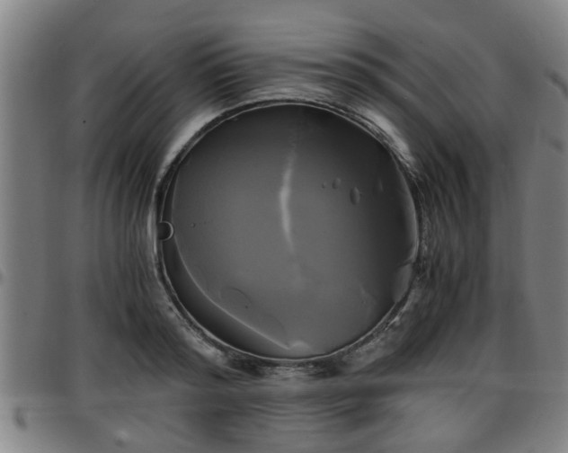 X0000096380796200801311258