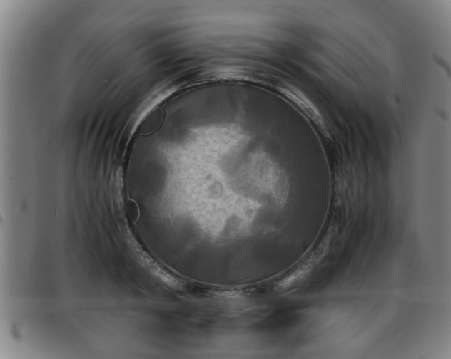 X0000096380798200801311258