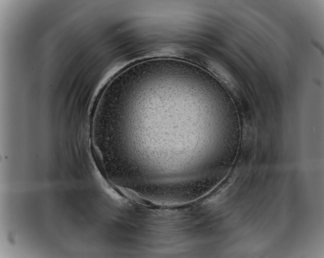 X0000096380800200801311258