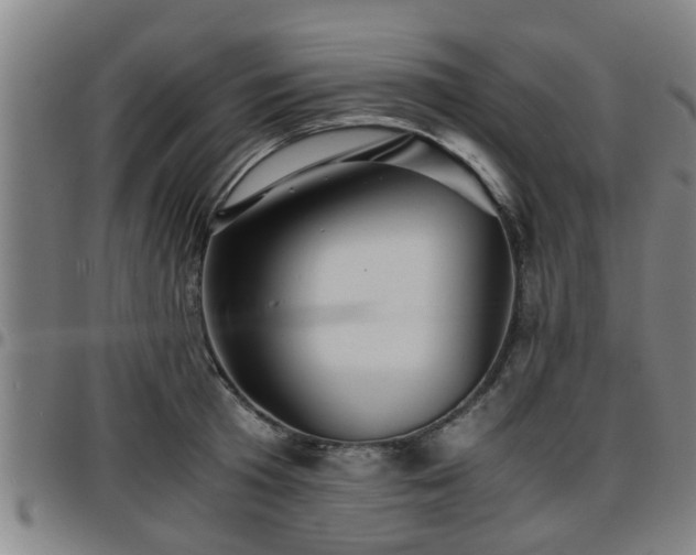 X0000096380801200801311258