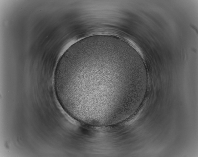 X0000096380803200801311258