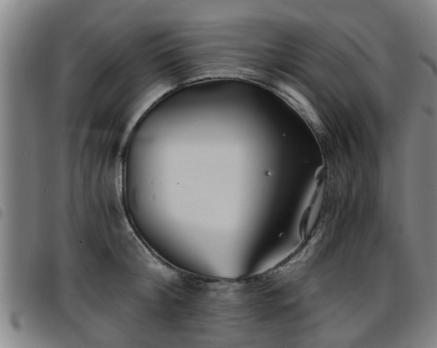 X0000096380804200801311258