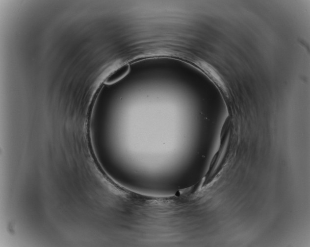 X0000096380805200801311258
