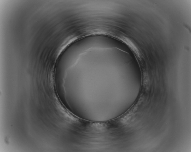 X0000096380806200801311258