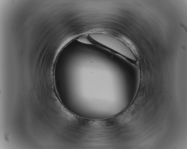 X0000096380808200801311258