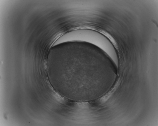 X0000096380809200801311258
