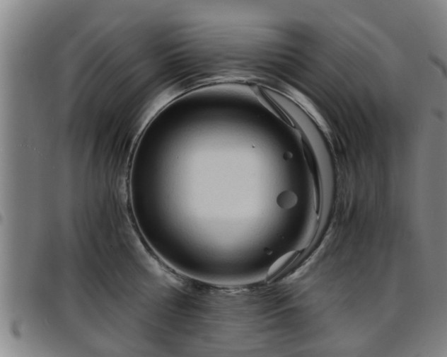 X0000096380810200801311258