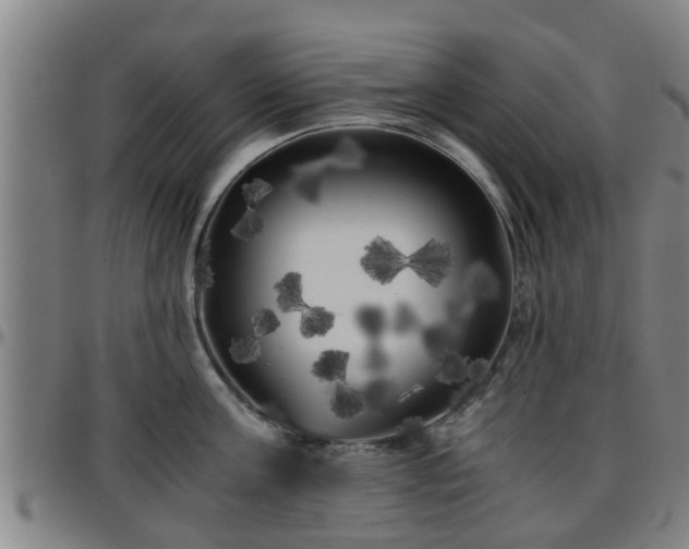 X0000096380811200801311258