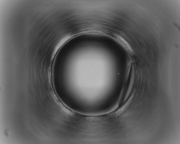 X0000096380812200801311258