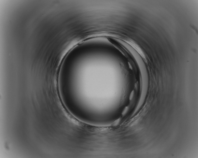 X0000096380813200801311258