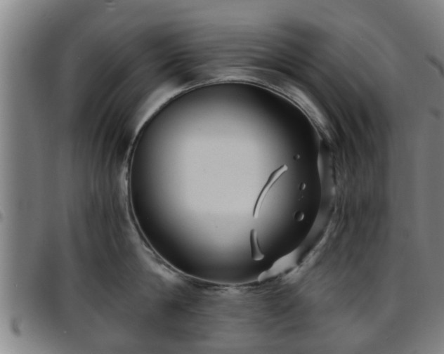 X0000096380814200801311258