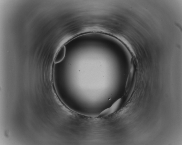 X0000096380815200801311258