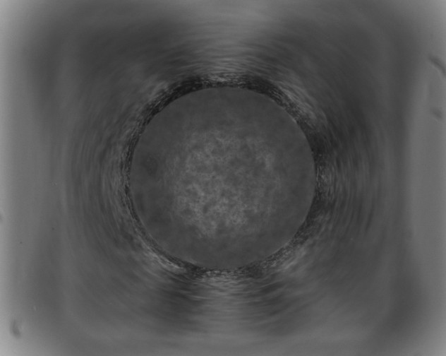 X0000096380817200801311257