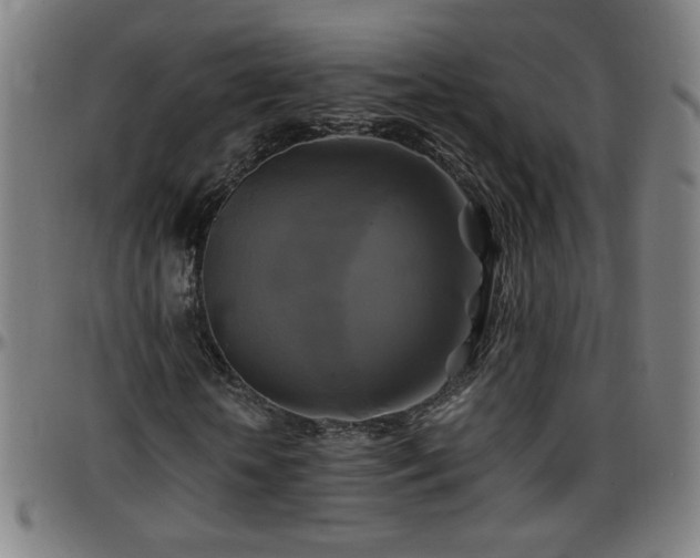 X0000096380818200801311257