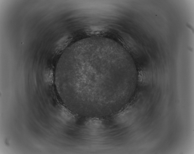 X0000096380820200801311257