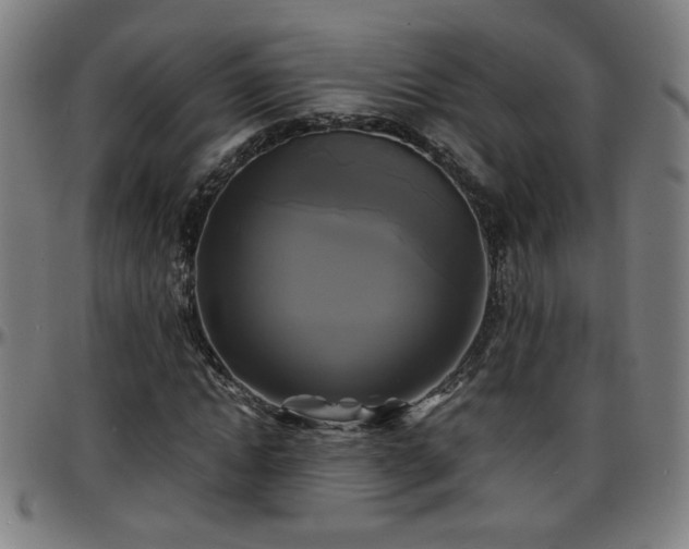X0000096380822200801311257