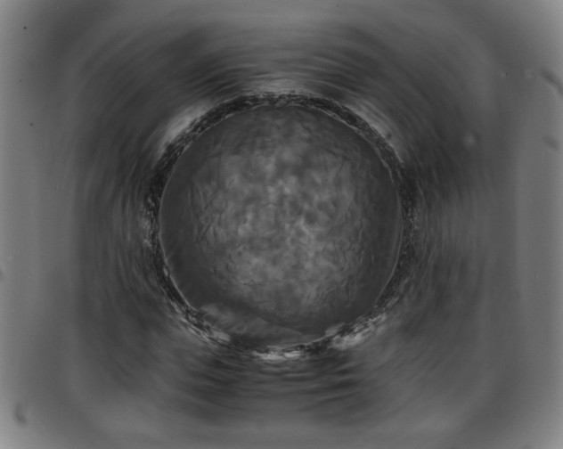 X0000096380823200801311257