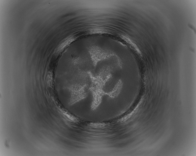 X0000096380825200801311257