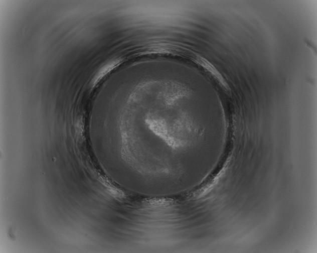 X0000096380826200801311257