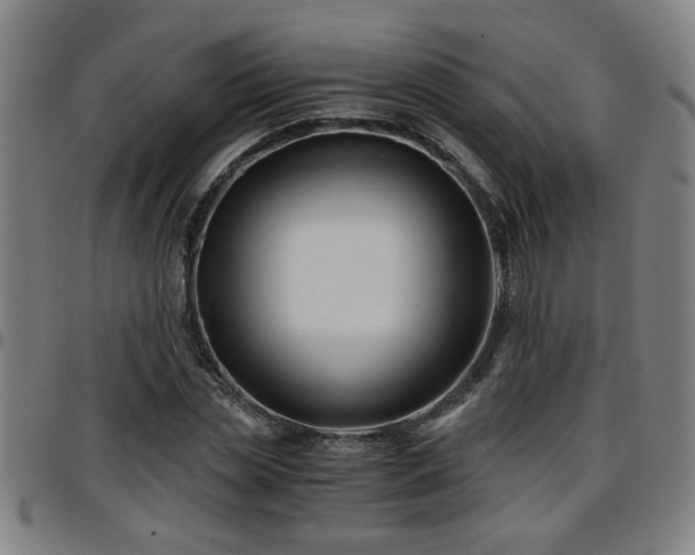 X0000096380829200801311257