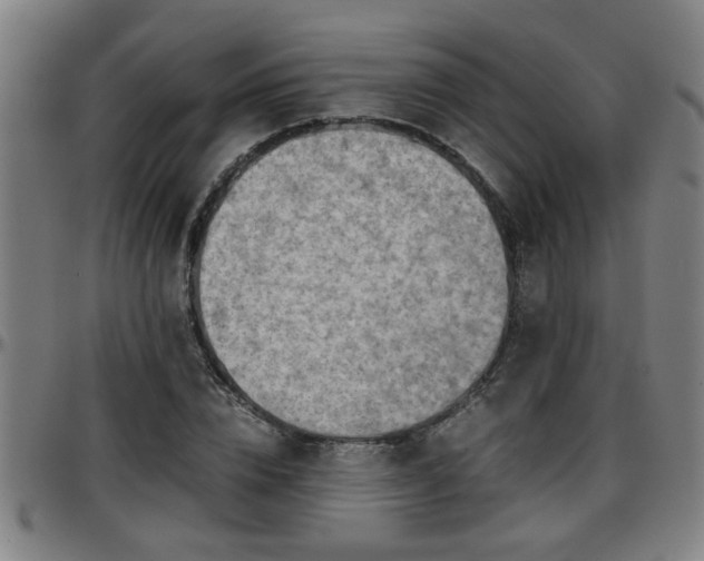 X0000096380832200801311257
