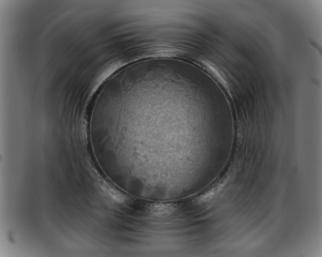 X0000096380835200801311257