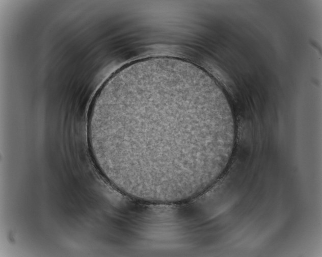 X0000096380836200801311257