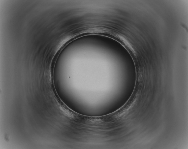 X0000096380837200801311257