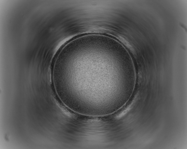 X0000096380838200801311257