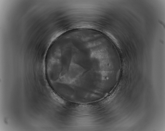 X0000096380840200801311257