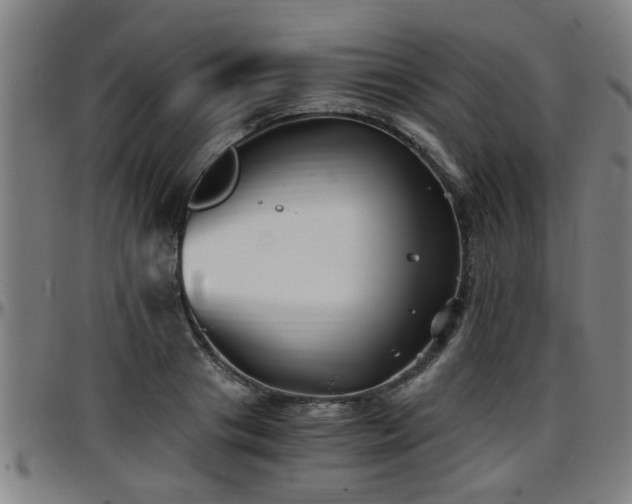 X0000096380841200801311257