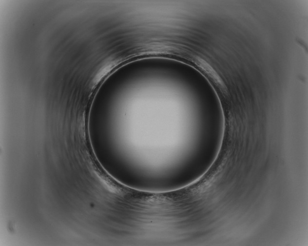 X0000096380842200801311257