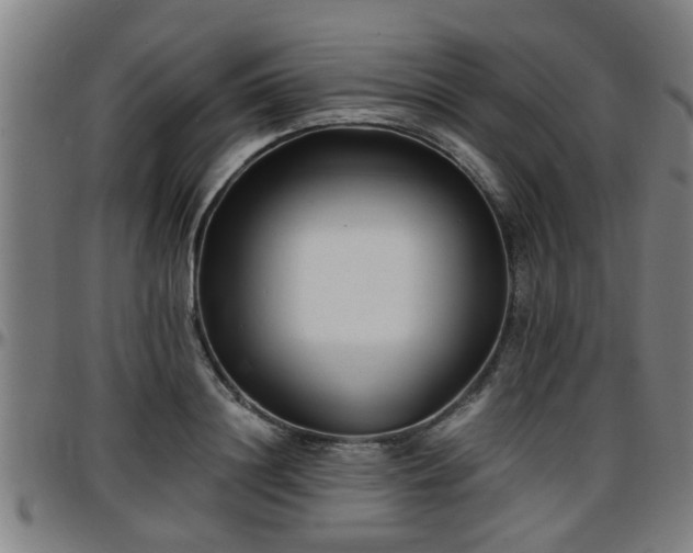 X0000096380844200801311257