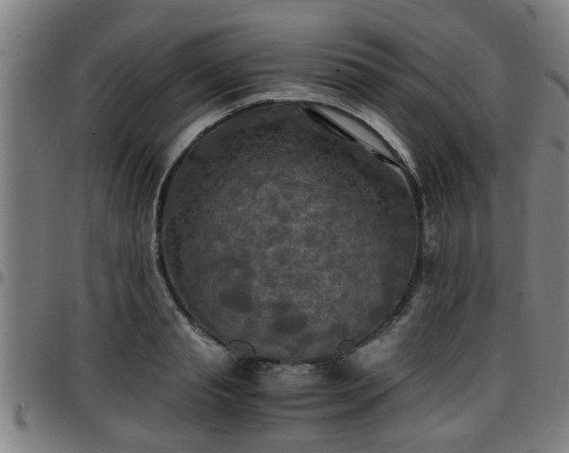 X0000096380845200801311257