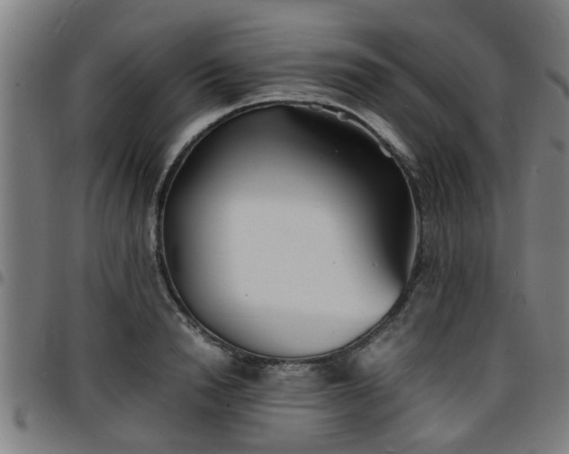 X0000096380846200801311257