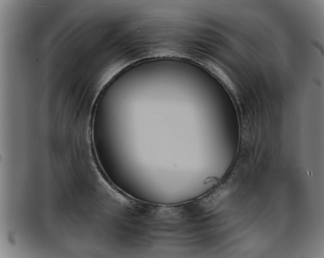 X0000096380847200801311257