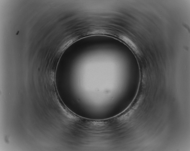 X0000096380849200801311257