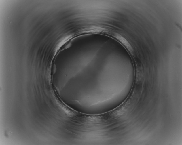 X0000096380850200801311257